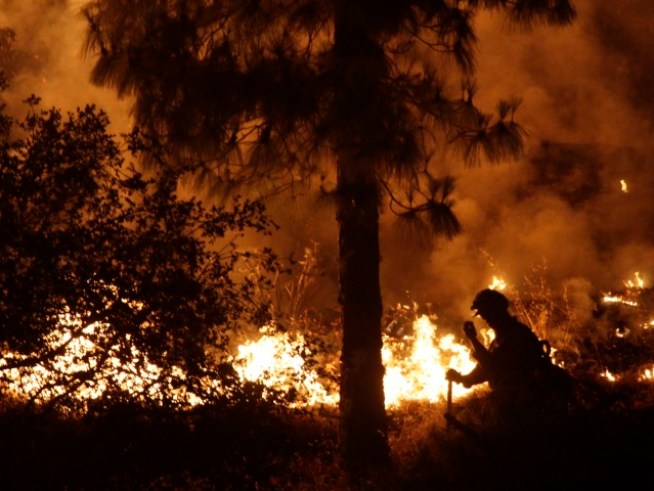 Fires Already Cost State Over $100 Million