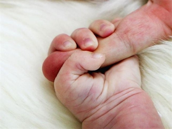 Newborn Girl Safely Surrendered in Woodland Hills