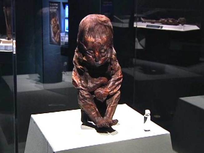 A look at the Mummies of the World exhibit.