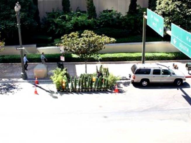 Parking Spaces to Turn Into Green Spaces
