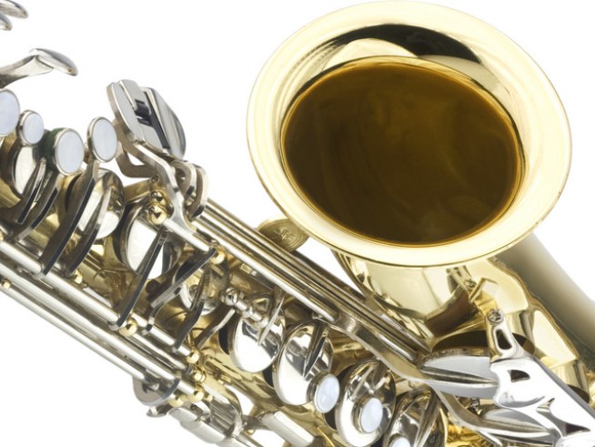 Green Living Can Be So Saxy