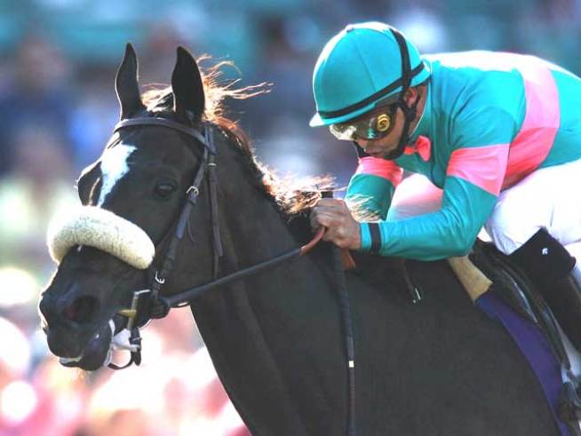 Cheers for Zenyatta, Boos for Governor