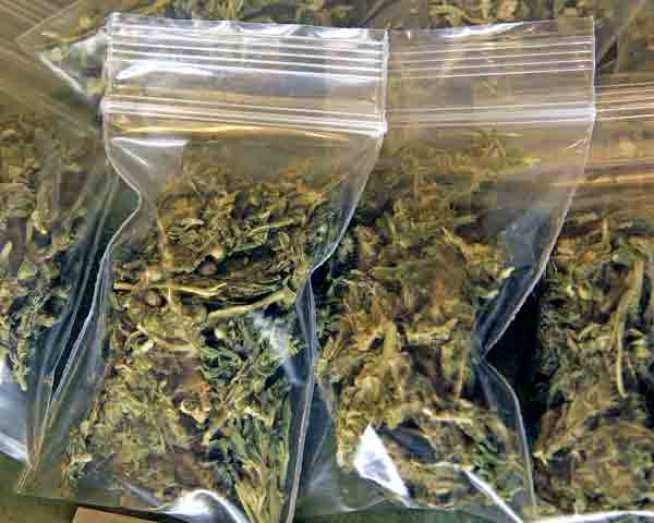 Pot Dispute to be Hashed Out in Court