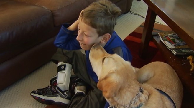 Kim Sinclair s 9-year-old son, Ryan, has cerebral palsy. His service dog, Tiffi, acts as the boy's friend, motivator and provides a much-needed sensory source. She s even helped him learn to speak. Vikki Vargas reports from Redondo Beach for the NBC4 News at 11 p.m. on Nov. 13, 2012.