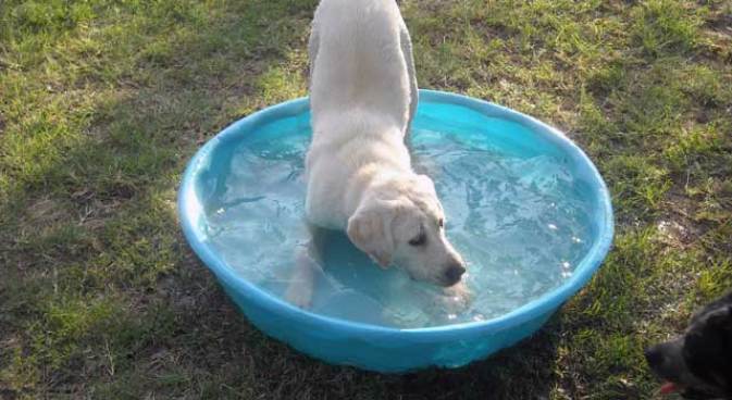 It's Another Hot One