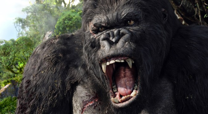 King Kong Returns to L.A.