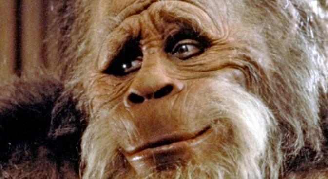 I "Almost Hit Sasquatch"