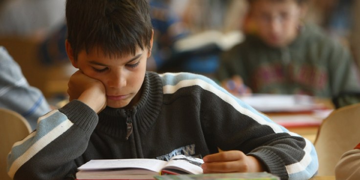 Schools Critical in Stemming Swine Flu Spread