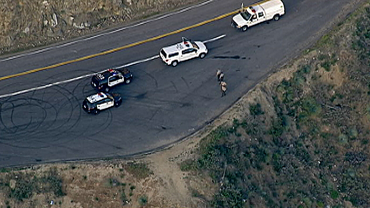 One Dead in Angeles Crest Highway Crash – NBC Los Angeles