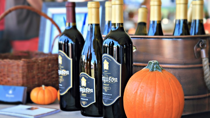 022-IMG_7845_Tenley Fohl Photography_Celebration of Harvest_Santa Barbara County Wine_TFP.