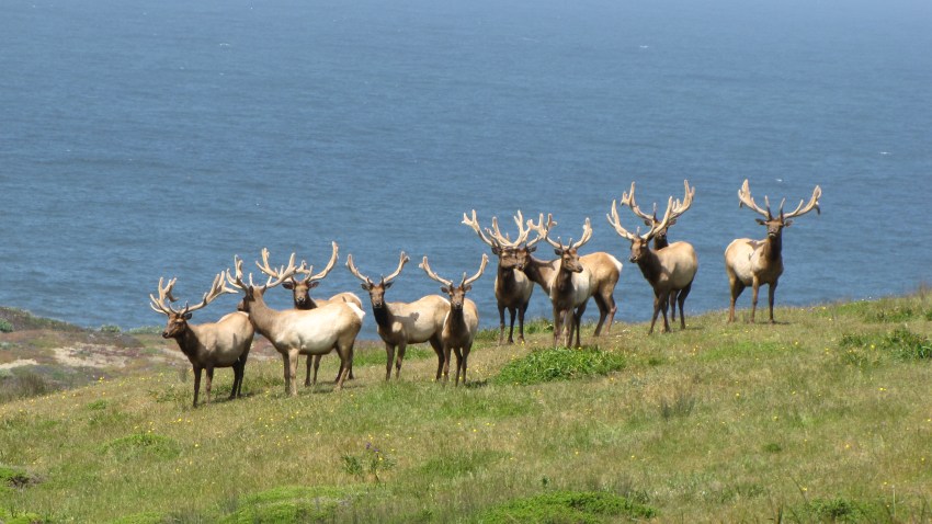 Point Reyes National Seashore