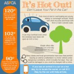 06-23-2016-aspca-tips-pets-heat