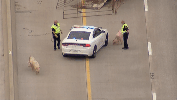 Https Encrypted Tbn0 Gstatic Com Images Q Tbn 3aand9gcsphgdoz2p3axwt7blrefwmjncwzhkmnin Zg Usqp Cau Https Encrypted Tbn0 Gstatic Com Images Q Tbn 3aand9gcsphgdoz2p3axwt7blrefwmjncwzhkmnin Zg Usqp Cau