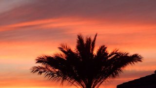 1-20-2015-Palm-Desert-Sunrise-UGC