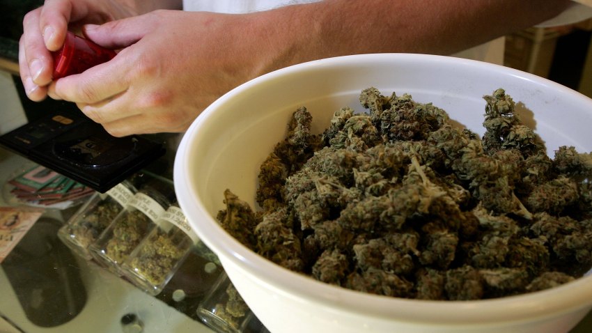 100908 marijuana