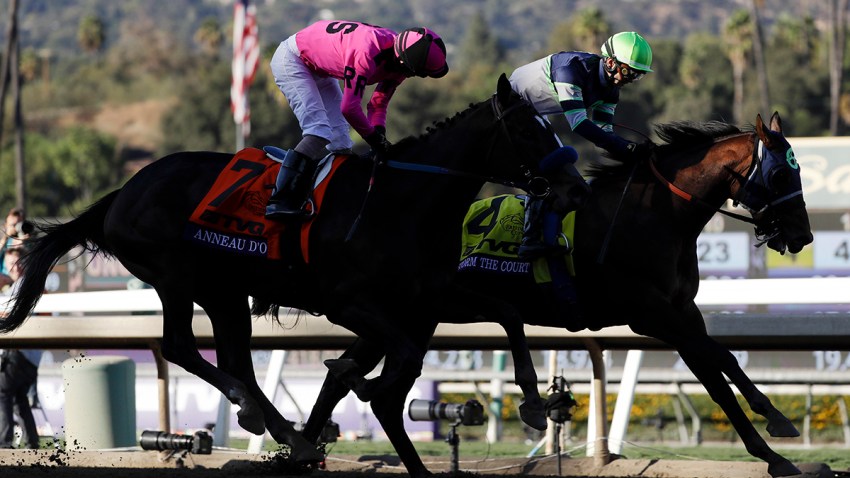 Breeders Cup Juvenile Horse Racing