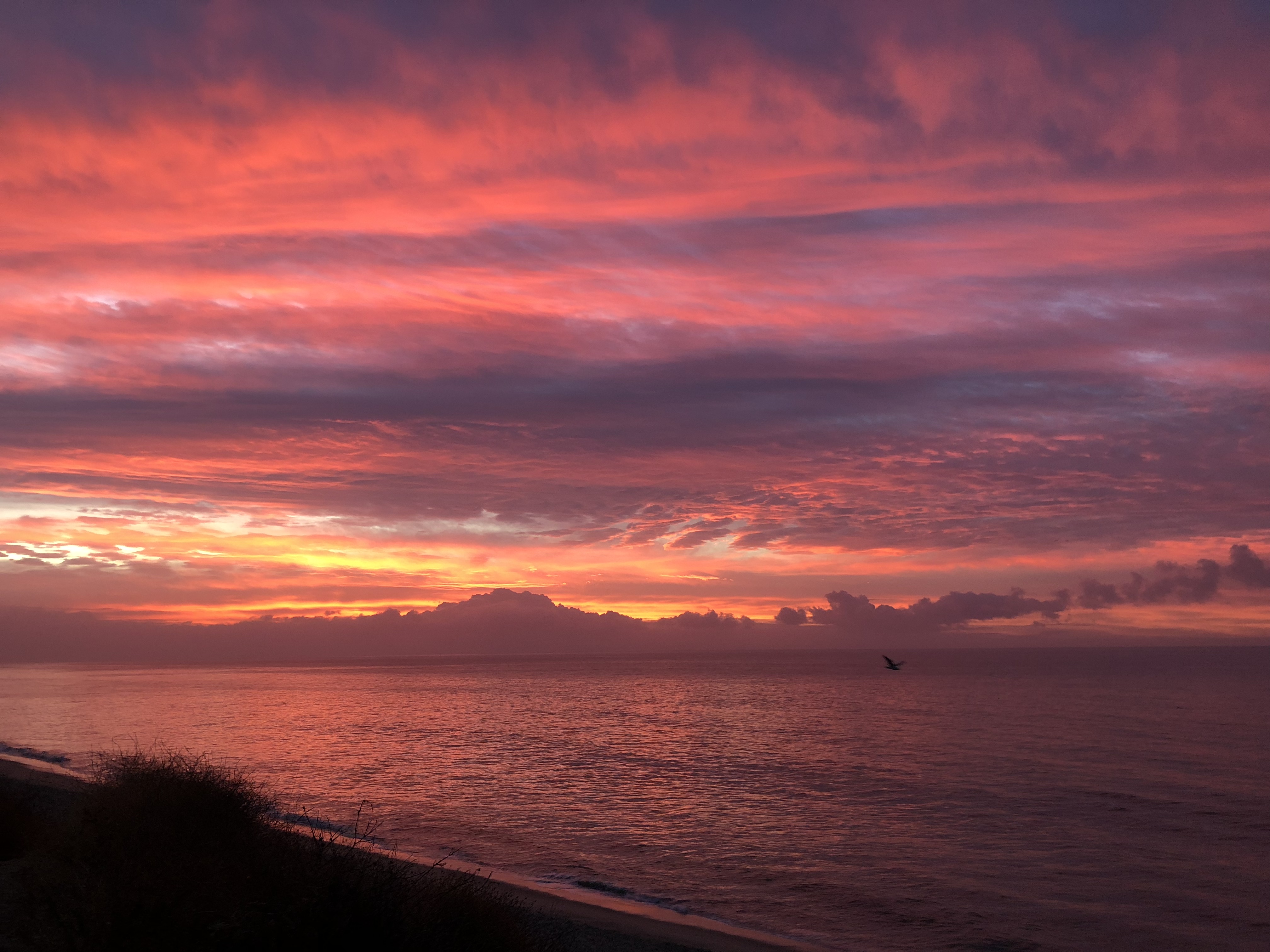 30 best Shas Of Sunset images on Pinterest | Sunrises 