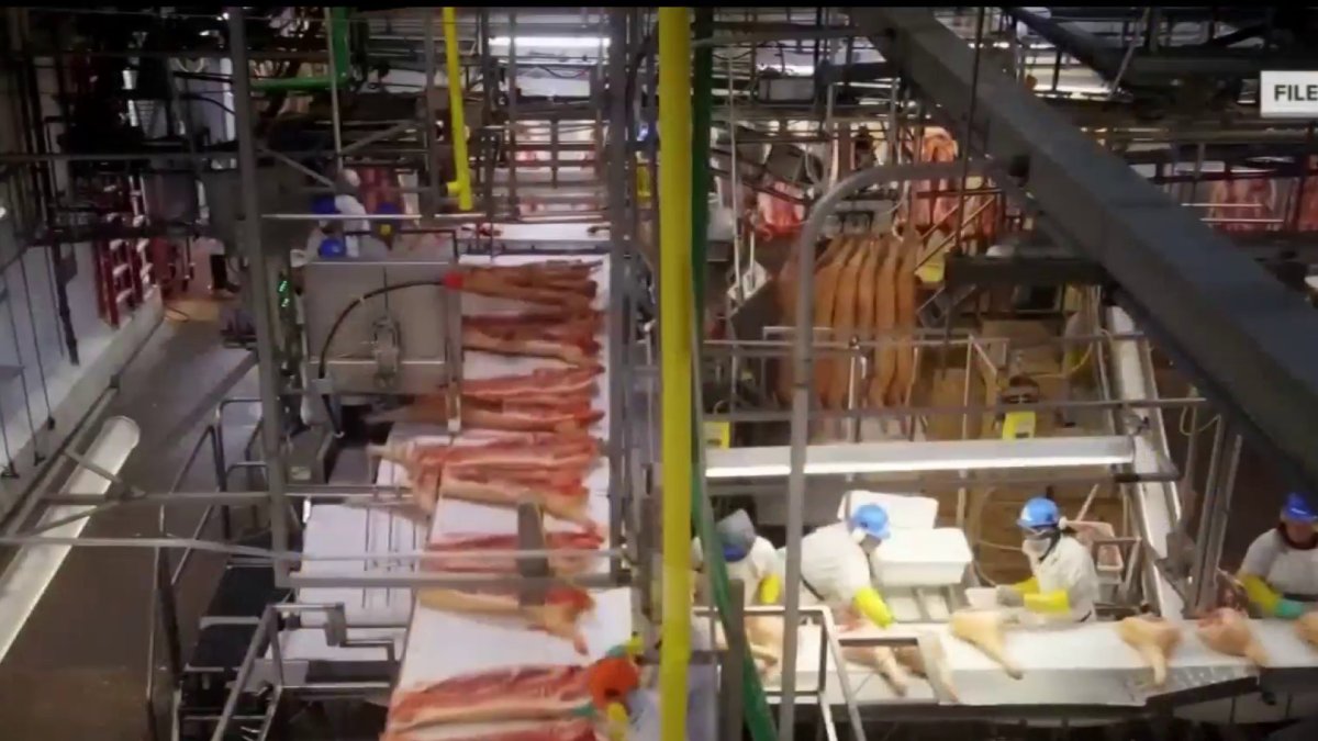 Coronavirus OutBreak Forces Food Processing Plants to Close, Meat Shortage to Follow NBC Los
