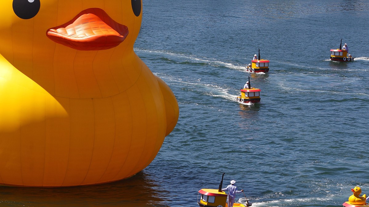 Rubber Duckie Headlines Tall Ship Fest NBC Los Angeles