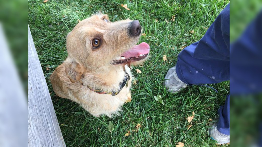 Https Www Nbclosangeles Com News Local Seeking Justice Lapd Search For Suspects In Murder Los Angeles 13875 Lapd Search For Suspects In Saturday Morning Murder Duane Anthony Burks Right Was Shot And Killed Saturday July 22 2006 Ten Years - https www nbclosangeles com news doge roblox character costume we made a papier mache Https Www Nbclosangeles Com News Local Seeking Justice Lapd Search For Suspects In Murder Los Angeles 13875 Lapd Search For Suspects In Saturday Morning Murder Duane Anthony Burks Right Was Shot And Killed Saturday July 22 2006 Ten Years - doge roblox character costume we made a papier mache