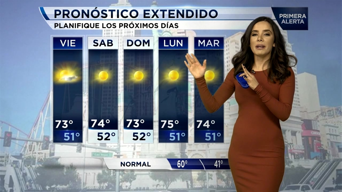 Class Photos Nine Proud Looking Dogs Who Just Graduated