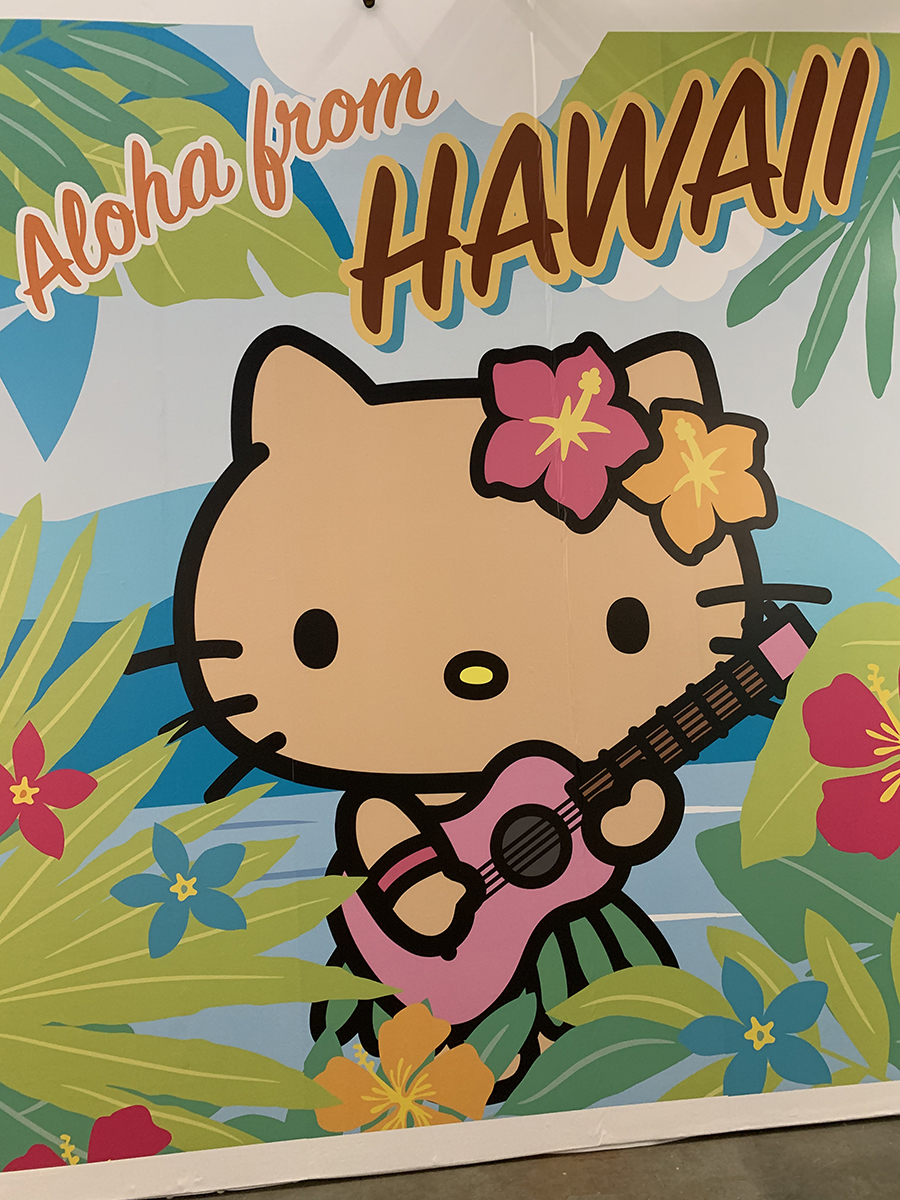 Hello kitty hawaii HD wallpapers  Pxfuel