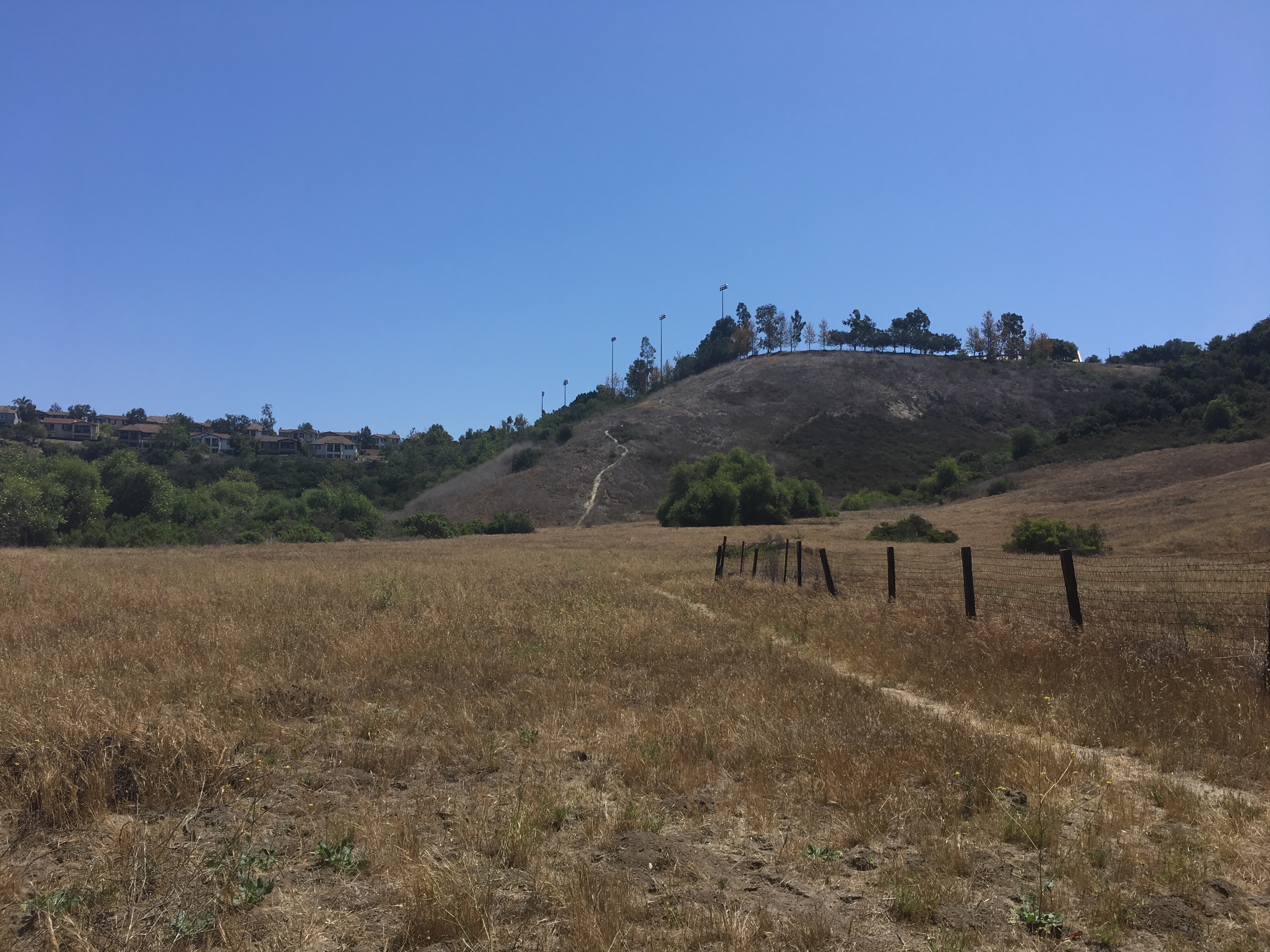 This photo taken in Aliso Woods Canyon at the intersection of Wood Canyon trail and Hunwut trail looking up toward Soka University just two hours before the fire was reported.
