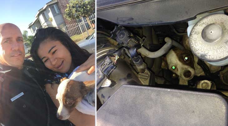 4-28-15-dog trapped car saved (1)