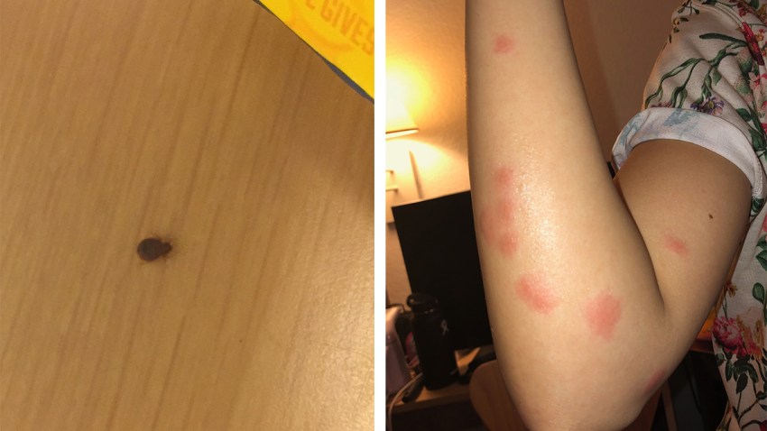 5-7-2018-bed-bugs-motel-6-1