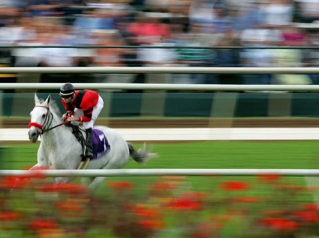 51573695RB089_Breeders_Cup