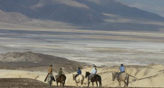 550_horseback-riding-dv