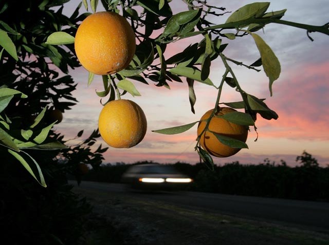 WCAU_000000014540610_1200x675_653306435844.jpg