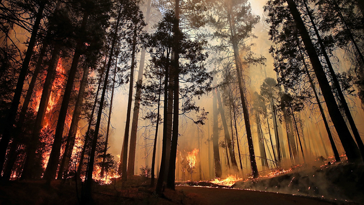 8-26-2013-rim-fire