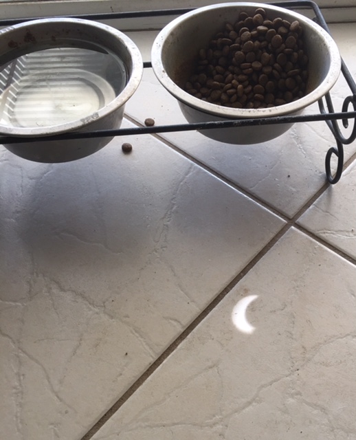 Photos Eclipse Watchers Stake Out Their Spots In Southern