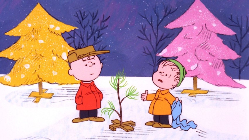 TV Masters Charles Schulz