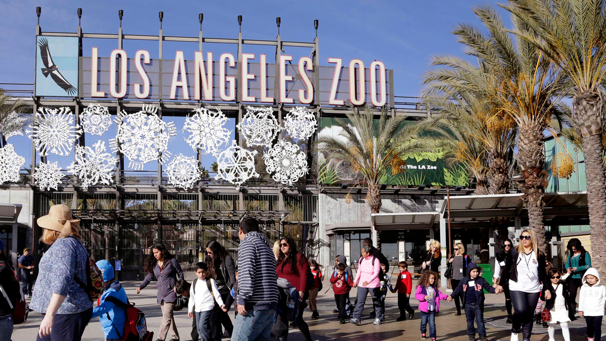 LA Zoo closes due to powerful winds – NBC Los Angeles