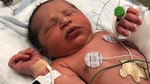 Newborn Found Alive Woods