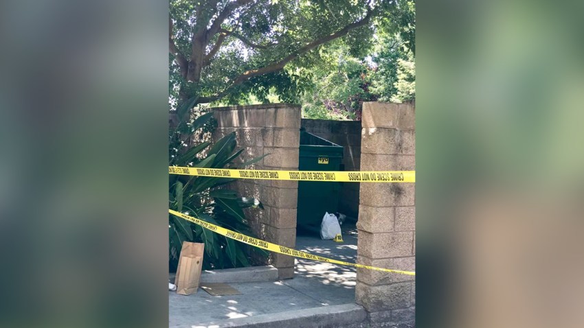 Newborn in Dumpster
