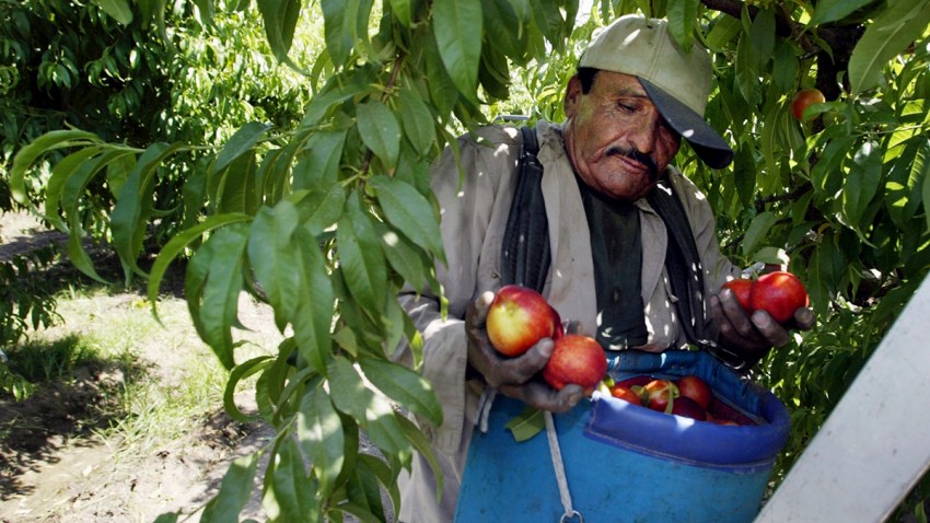 California Pesticide Ban