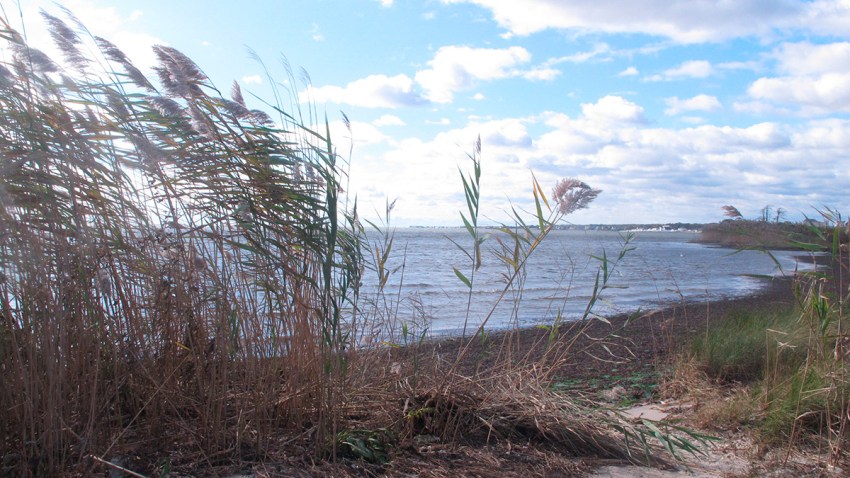 Barnegat Bay-Oyster Creek