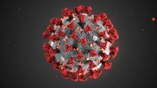 This illustration provided by the Centers for Disease Control and Prevention (CDC) in January 2020 shows the 2019 Novel Coronavirus (2019-nCoV). Health authorities are preparing for a possible pandemic as they work to contain a respiratory illness in China that's caused by a new virus. Governments are working to contain the virus by limiting travel, isolating sick people and keeping travelers returning from the affected region under quarantine to watch for symptoms.