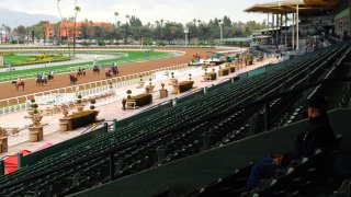 Veterinary assistant Joe Lerille sits alone in the stand as horse racing runs