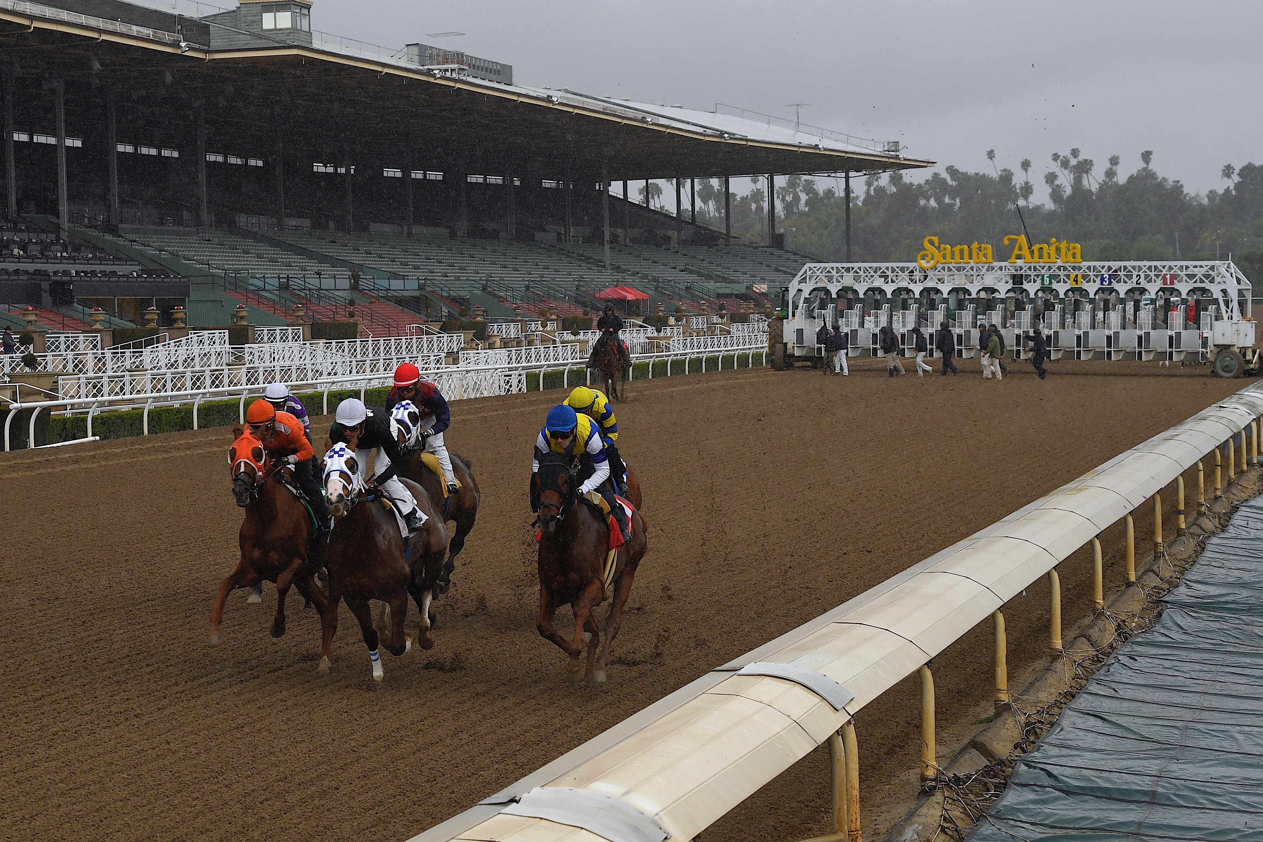 Activists Assail California Board for Keeping Horse Race Tracks Open