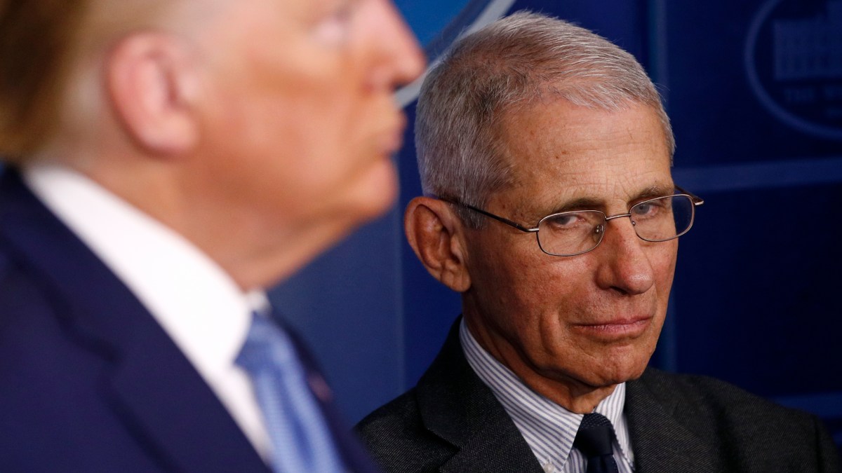 Dr. Fauci’s Face Will Soon Be on a Bobblehead – NBC Los Angeles