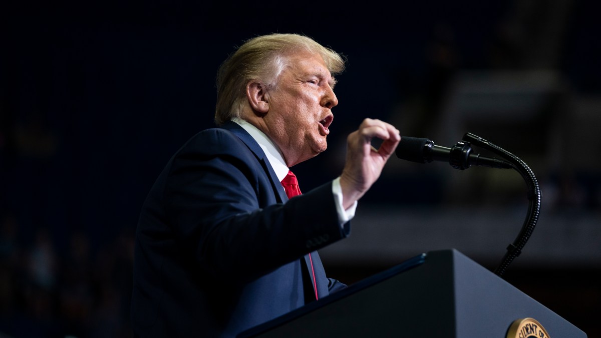 Trump Opens Door to Another Round of Stimulus Checks, Direct Deposits 1