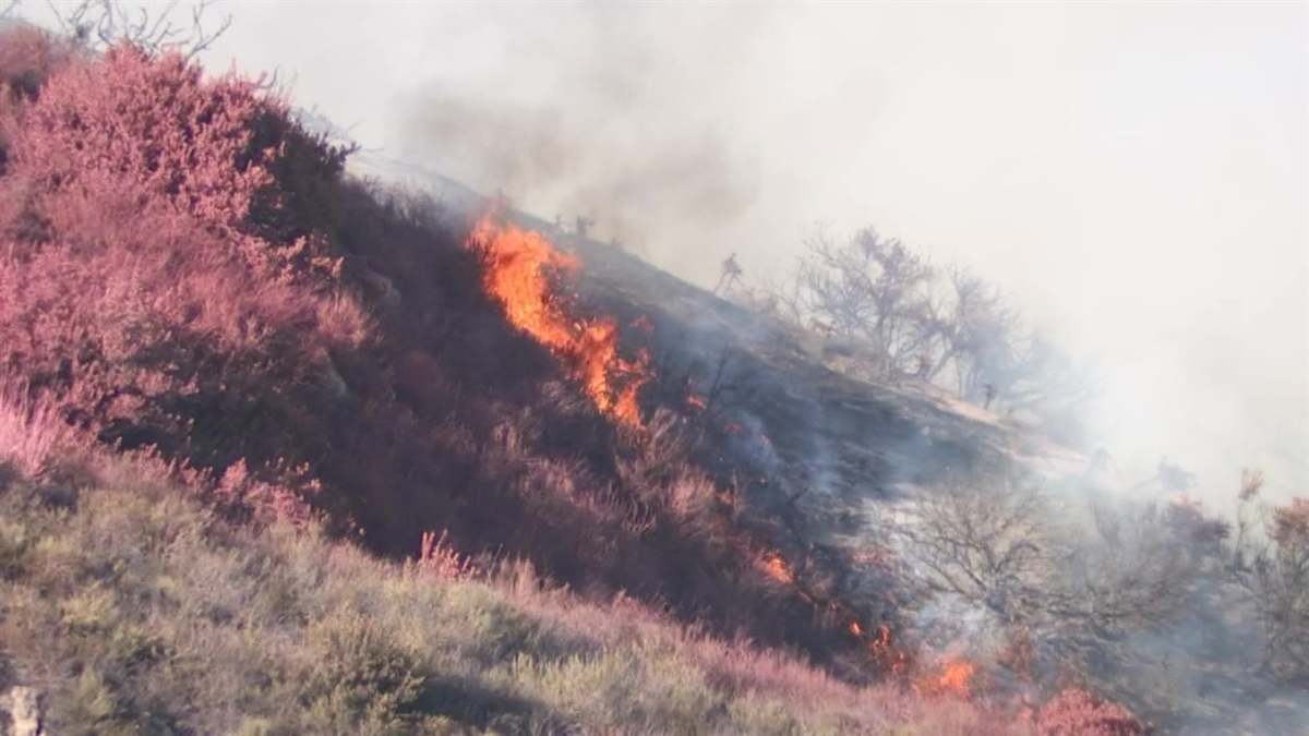 A view of the Aliso fire in Orange County.