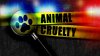 Orange County woman charged with animal cruelty after being found with feces-covered pets