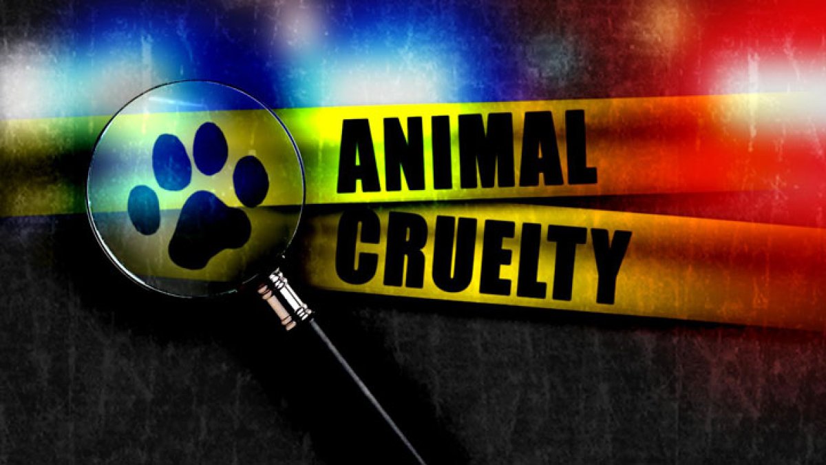 Orange County woman charged with animal cruelty after being found with feces-cov...