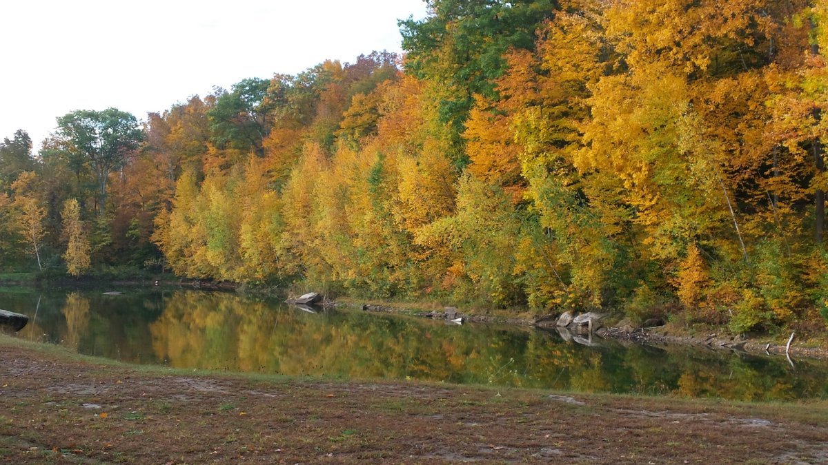 12 Hours of Day, Then Night: Autumnal Equinox Explained