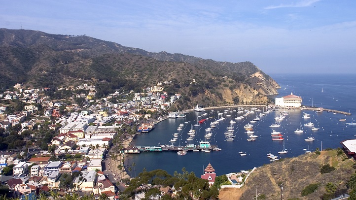 Buffalo Gores Catalina Camper Nbc Los Angeles